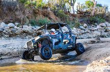UTV and Camel Ride in the Cabo Desert