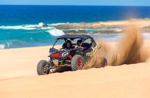 UTV and Camel Ride in the Cabo Desert