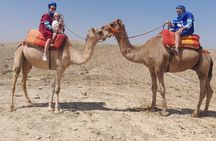 From Marrakech: Agafay Desert Dinner with Camel Ride 