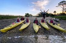 Guided Kayak Eco Tour in Charleston