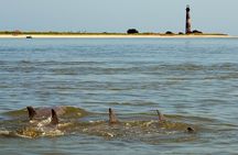 Charleston Marsh Eco Boat Cruise