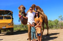 Camel riding experience on the shores of the Pacific Ocean