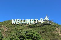 Wellington City and Sea: Private Tour in Electric Tesla SUV