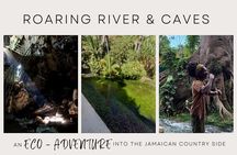Half-Day Tour at Roaring River Cave, Blue Hole, Mineral Springs