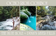 Dunn's River Falls & Blue Hole from Montego Bay or Falmouth