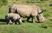 2 nights Private Kruger Park Safari and Panorama Route