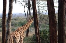 The Ultimate Nairobi City Tour & Giraffe Feeding Experience