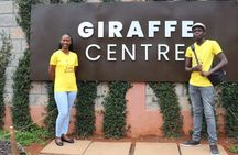 The Ultimate Nairobi City Tour & Giraffe Feeding Experience