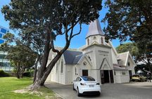 Wellington City and Sea: Private Tour in Electric Tesla SUV
