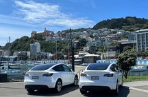Wellington City and Sea: Private Tour in Electric Tesla SUV