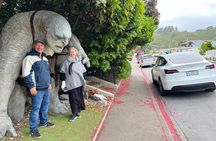 Wellington City and Sea: Private Tour in Electric Tesla SUV