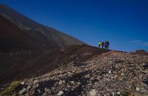 Mt. Etna nature and flavors half day Tour from Catania