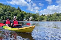 Half Day Guided Canoe Trip in Totnes