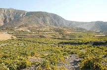 Santorini: Must-See & Winery Visit Private Tour