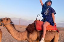 (including pick-up) Camel Rides, Quad Bikes, and diner in Agafay 