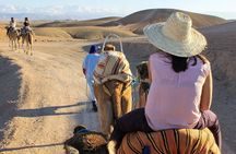 (including pick-up) Camel Rides, Quad Bikes, and diner in Agafay 