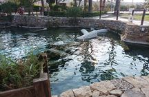 Antalya Pamukkale Hiearapolis and Salda Lake Daily Tours 