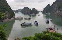 Halong Bay Shore Excursion: Full Day Cruise Tour from Cruise Port
