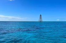 Explore the Waters of Key West from the Reef to the Sandbars