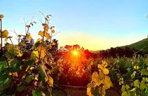 Private Wine Tasting Under The Stars With Sunset Panorama