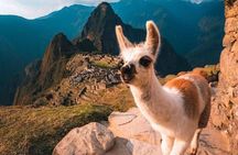 Private Tour Discover Machu Picchu in 5 days and 4 nights