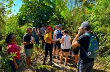Taste of Hawaii: A Maui Farm Tour