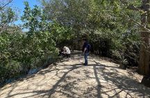 Private Experience at the National Aviary of Colombia
