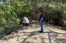 Private Experience at the National Aviary of Colombia