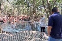 Private Experience at the National Aviary of Colombia
