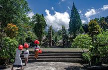 Sangeh Monkey Forest, Jatiluwih & Batukaru Temple Tour