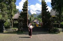 Sangeh Monkey Forest, Jatiluwih & Batukaru Temple Tour