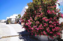 Easy Walks in Santorini Private Half Day Tour