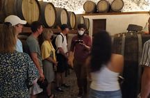 Santorini Wine Tasting: Private Tour with a Certified Wine Guide