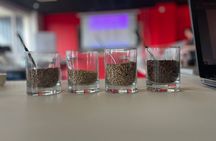 Workshop “You’re the brewer!”