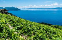 Private Oyster & Wine Tasting in Croatia