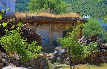 Bodrum Village Tour with Group