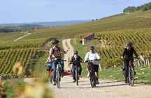  Guided tour of the Chablis Vineyards by e-bike