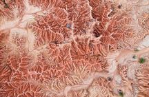 2-Day Tour in the Tatacoa Desert Local Experience
