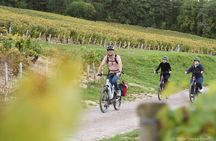  Guided tour of the Chablis Vineyards by e-bike