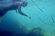 La Jolla Kayak and Snorkel Tour