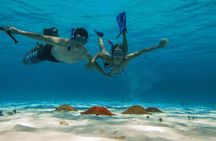 Palancar, Columbia and El Cielo Cozumel Snorkeling Tour