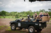 4 Days Safari to Mole park and Wechiau Hippos