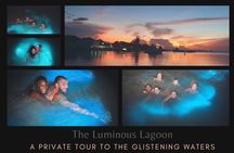Private Tour in the Glistening Waters from Montego Bay