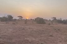  3 Days Tsavo East + Taita hills/Saltlick lodge from Malindi 