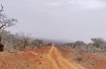  3 Days Tsavo East + Taita hills/Saltlick lodge from Malindi 