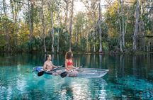 Silver Springs: Clear Kayak Wildlife Adventure