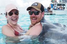 Stingray City and Coral Gardens 