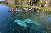 Silver Springs: Clear Kayak Wildlife Adventure