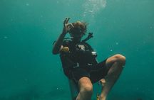 Two Fun Dives for Certified Divers in Koh Kood or Koh Rang 