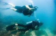 Two Fun Dives for Certified Divers in Koh Kood or Koh Rang 